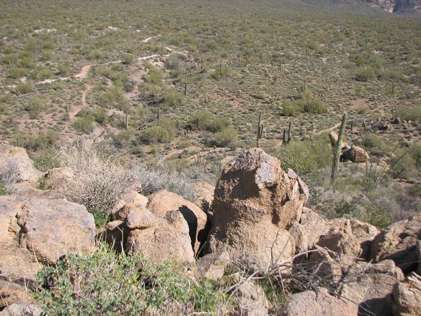 A rocky landscape in a desert setting, featuring boulders in the foreground, sparse vegetation, and a gently sloping terrain leading to distant hills and cacti. A dirt trail winds through the greenery, showcasing the natural beauty of the region. Cloudview mountain bike trail.