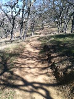 A dirt path winding through a wooded area with bare trees, casting long shadows on the ground. The scene is bright and open, suggesting a peaceful nature trail. De Valle Regional Park mountain bike trail.