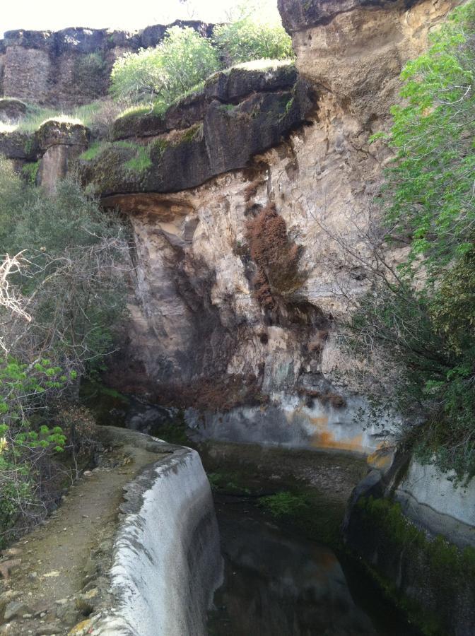 A landscape featuring a rocky cliff formation with greenery on top. At the bottom, a narrow water channel is visible, flanked by a paved path. The rocky surface shows signs of erosion and moss growth, while vegetation surrounds the area, giving it a natural and serene atmosphere. Knights Ferry Canal mountain bike trail.