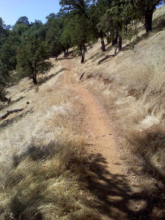 A dirt trail winding through dry grass and scattered trees under a clear blue sky. The path is surrounded by tall grasses, creating a natural and tranquil outdoor scene. Glory Hole mountain bike trail.