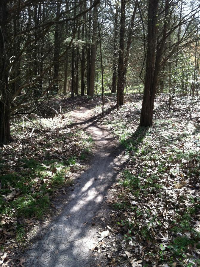 A narrow dirt path winding through a wooded area, surrounded by tall trees and scattered leaves on the ground. Sunlight filters through the branches, casting shadows on the trail. Camden County College mountain bike trail.