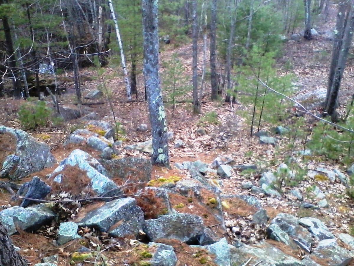 A rocky forest landscape featuring scattered boulders, fallen leaves, and pine trees. The scene includes a winding path leading deeper into the woods, surrounded by greenery and natural debris. Clifford Park mountain bike trail.