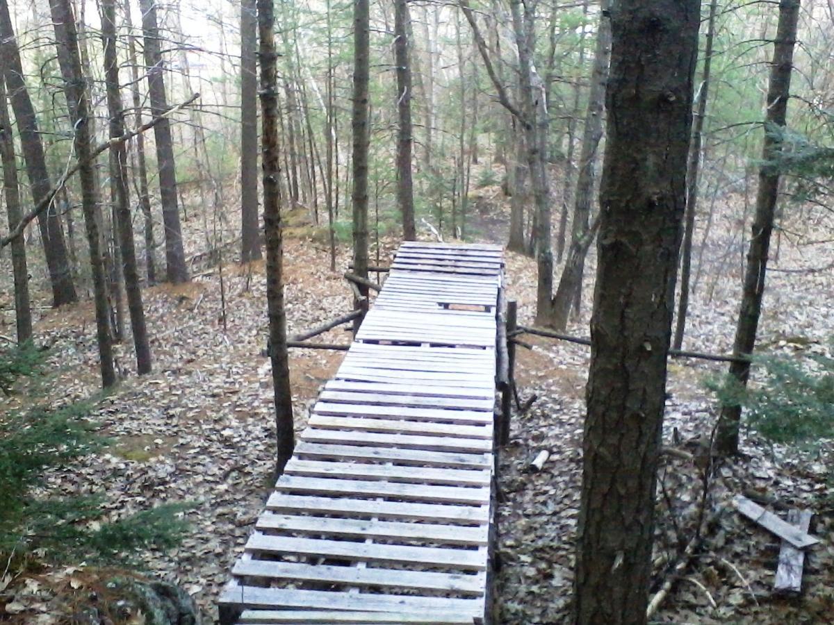 A wooden bridge made of pallets stretches across a forested area, surrounded by tall trees and fallen leaves on the ground. The scene is calm and natural, with soft light filtering through the branches. Clifford Park mountain bike trail.