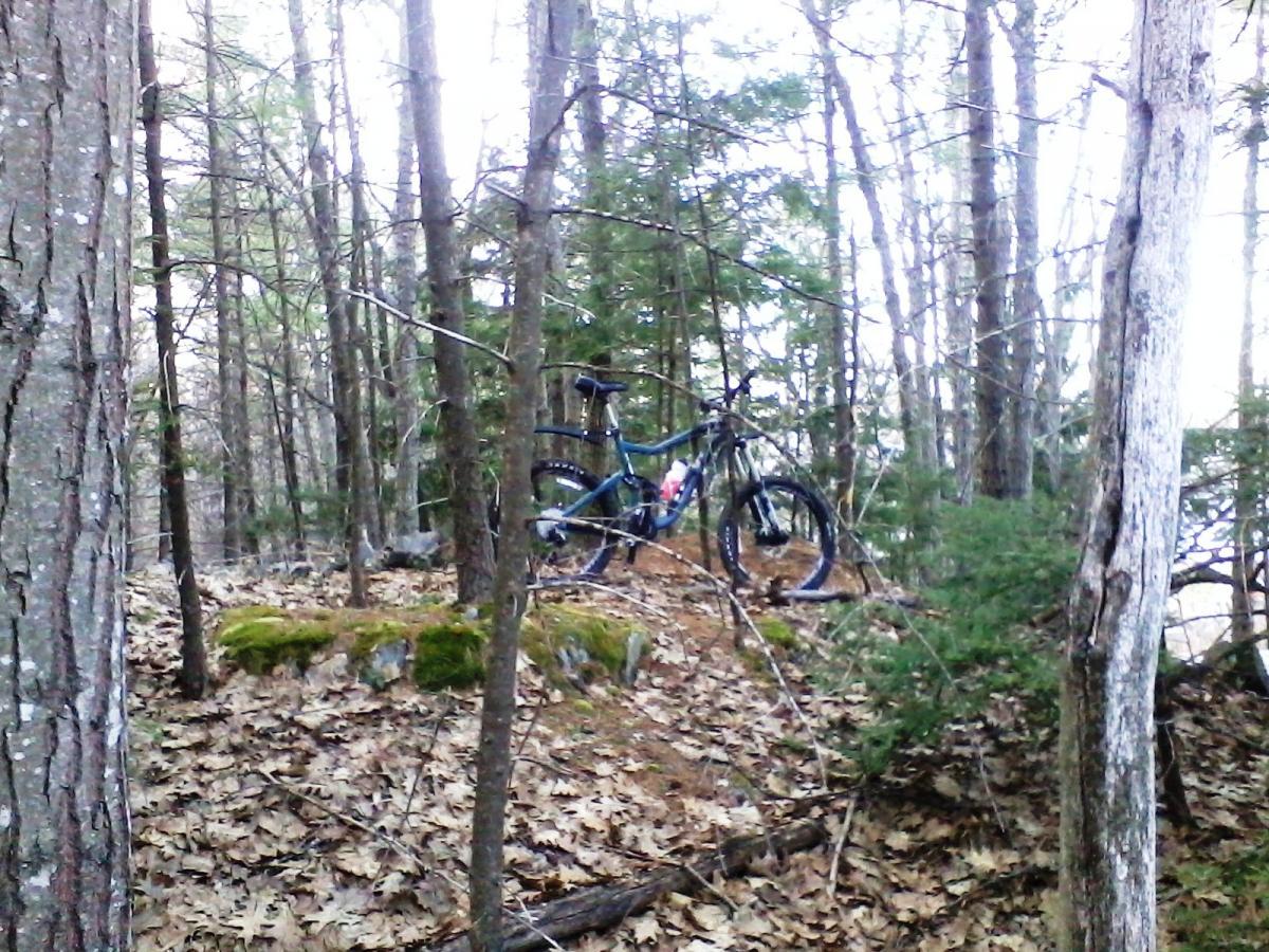 A mountain bike resting on a small rocky outcrop surrounded by tall trees and scattered leaves in a forested area. Clifford Park mountain bike trail.