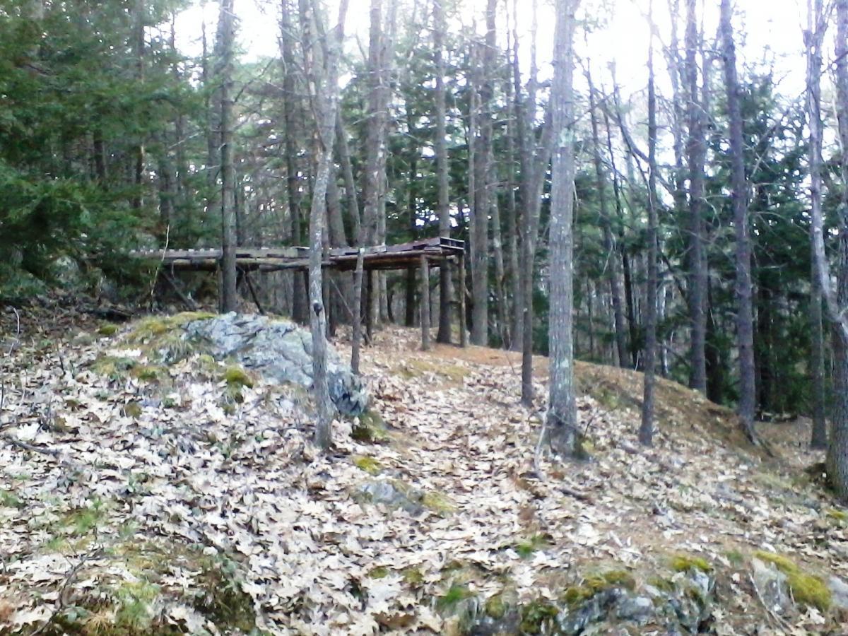 A wooden structure elevated on supports, nestled among tall trees in a forest setting, with a ground covered in fallen leaves and rocky terrain. The scene captures a tranquil, natural environment with sparse underbrush and a mix of coniferous and deciduous trees. Clifford Park mountain bike trail.