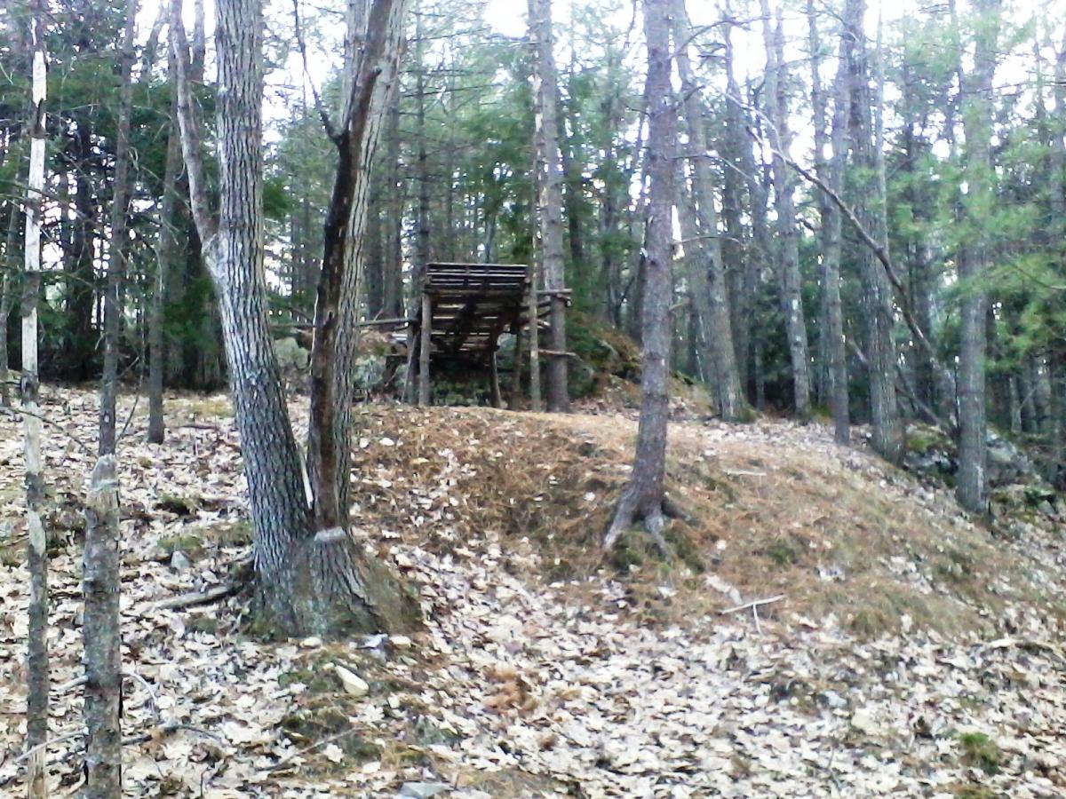 A wooden platform or lookout structure nestled among trees on a hillside, surrounded by a forest of pine and deciduous trees. The ground is covered with fallen leaves and twigs, indicating a natural, wooded setting. Clifford Park mountain bike trail.