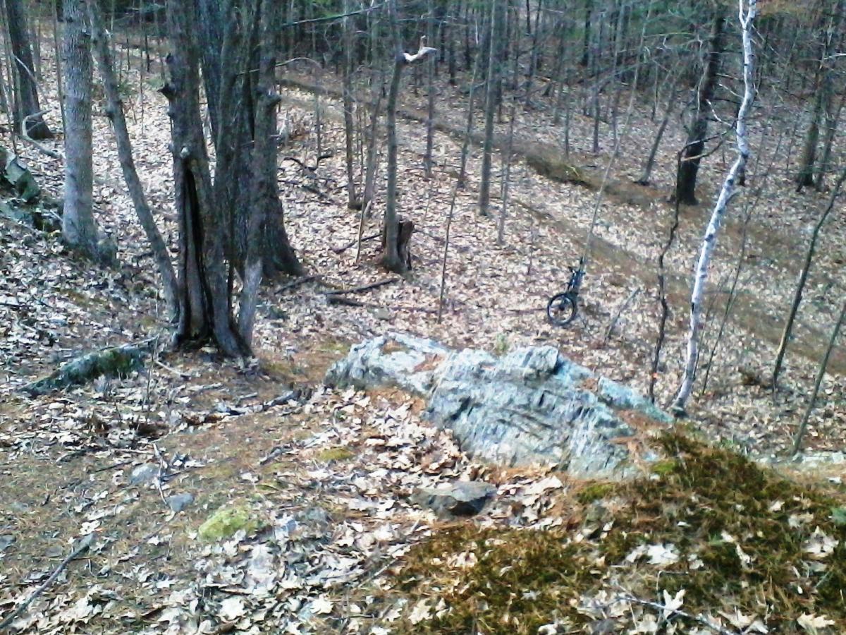 A rocky landscape in a forest with scattered leaves, featuring several trees with bare branches. In the background, a trail can be seen, and a black bicycle is leaning against a tree. The scene captures a peaceful, natural environment in early spring or late fall. Clifford Park mountain bike trail.
