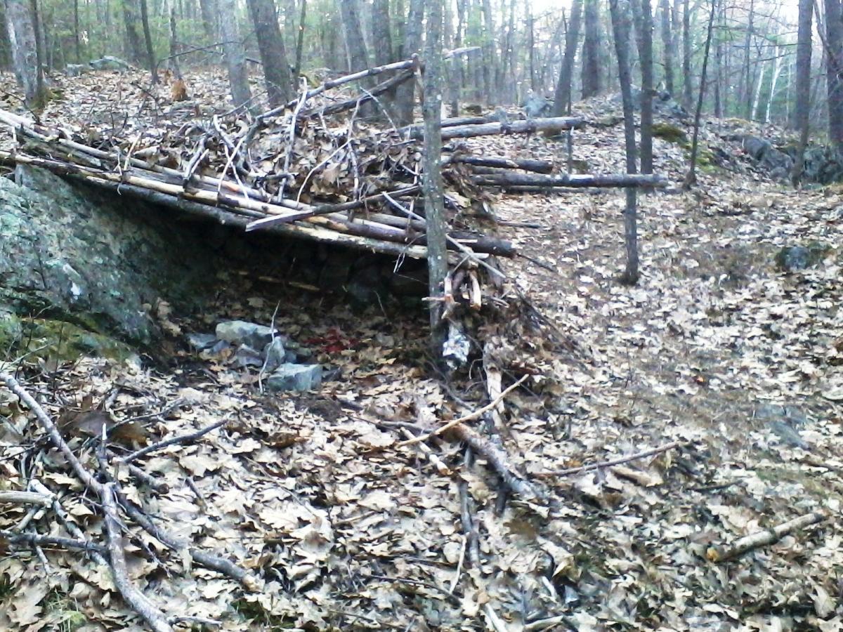 A makeshift shelter made from sticks and leaves, partially built against a rocky background, surrounded by fallen leaves and trees in a wooded area. Clifford Park mountain bike trail.