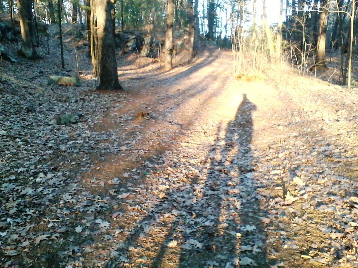 A shadow of a person riding a bicycle on a leaf-covered dirt trail surrounded by trees. Sunlight filters through the forest, creating a serene outdoor atmosphere. Clifford Park mountain bike trail.