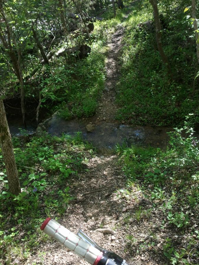 A narrow, winding dirt path surrounded by lush greenery, leading to a small stream. The scene includes scattered rocks along the trail and a hand holding a flashlight in the foreground, indicating an outdoor adventure environment. Sunlight filters through the trees, creating a dappled light effect on the ground. Honey Run mountain bike trail.