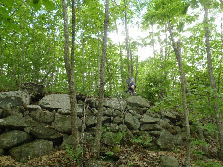 A person climbing a rocky ledge in a dense green forest, surrounded by tall trees and ferns. The scene captures a natural, outdoor setting with varying shades of green and sunlight filtering through the leaves. Bond Brook Trails mountain bike trail.