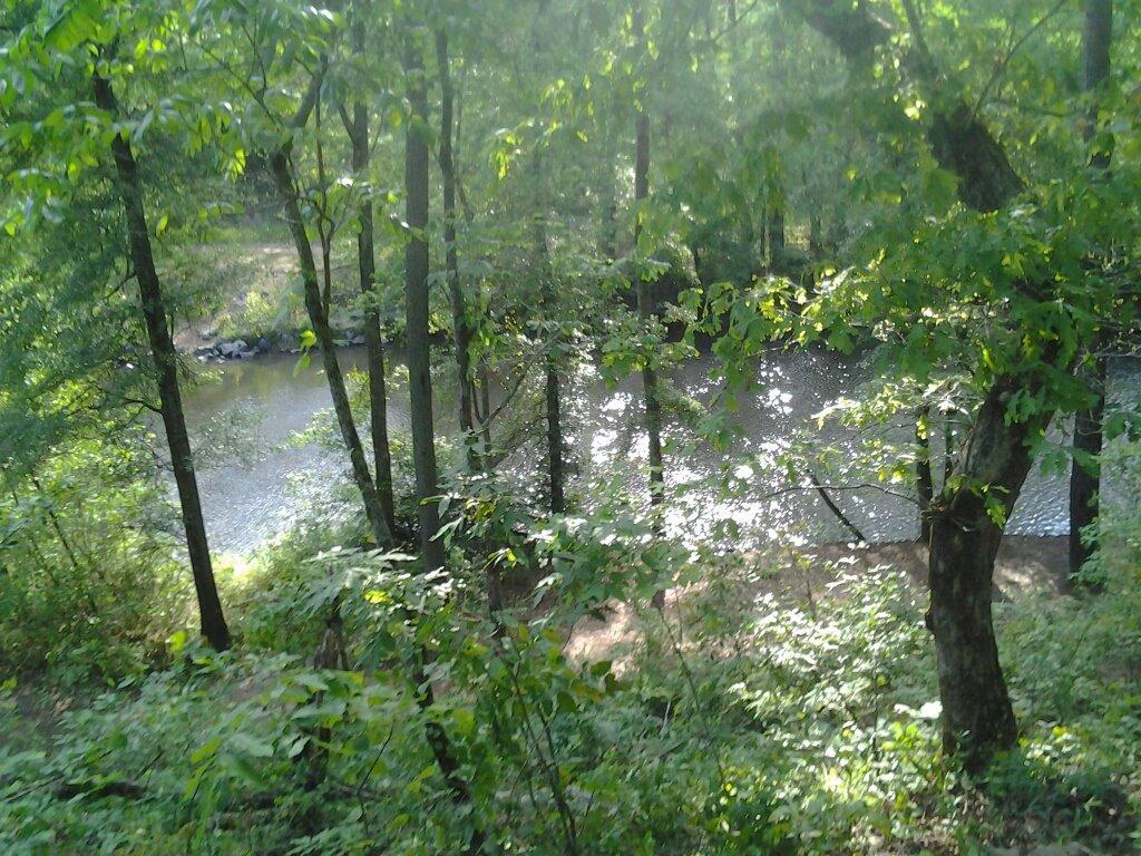 A tranquil forest scene featuring a clear, gently flowing river surrounded by lush green trees and underbrush. Sunlight filters through the leaves, reflecting off the water's surface. Taylor Randahl Memorial Mountain Bike Trails At Olde Rope Mill Park mountain bike trail.