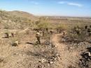 A panoramic view of a desert landscape featuring a winding dirt path, scattered cacti, and rolling hills under a clear blue sky. The terrain appears dry and rocky, typical of arid environments. Casa Grande Mountain mountain bike trail.