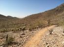 A winding dirt trail through a dry, rocky desert landscape with sparse vegetation and hills in the background under a clear blue sky. Casa Grande Mountain mountain bike trail.
