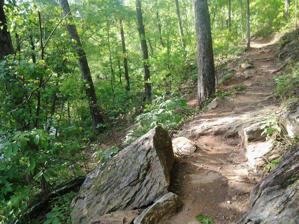 A narrow, rocky trail winding through a lush, green forest, surrounded by tall trees and dense undergrowth. Sunlight filters through the leaves, creating a dappled effect on the path. Taylor Randahl Memorial Mountain Bike Trails At Olde Rope Mill Park mountain bike trail.