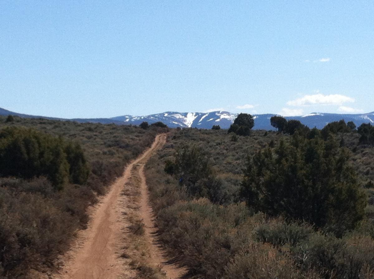 A dirt path winding through a landscape of sagebrush and low shrubs, with snow-capped mountains in the distance under a clear blue sky. Berry Creek Loop mountain bike trail.