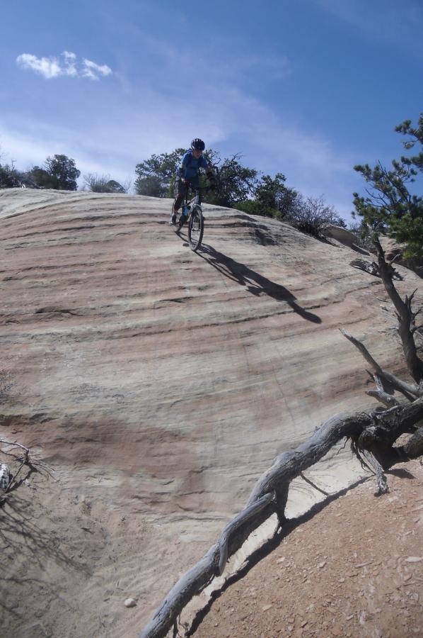 A mountain biker navigating a steep, rocky terrain with colorful layered rock formations under a clear blue sky. A dry, twisted tree branch is visible in the foreground, adding to the rugged landscape. The Ribbon mountain bike trail.