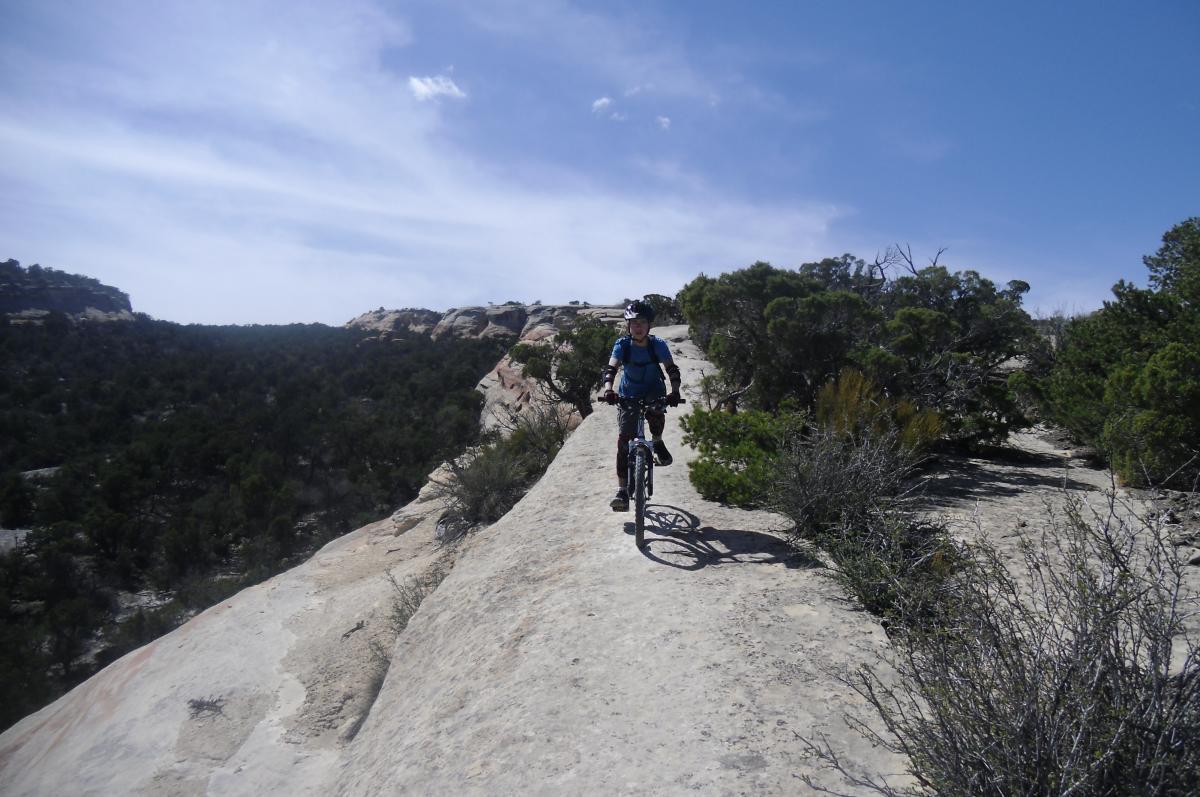 A mountain biker riding along a narrow rocky path surrounded by lush green vegetation, with a clear blue sky overhead and rocky cliffs in the background. The Ribbon mountain bike trail.