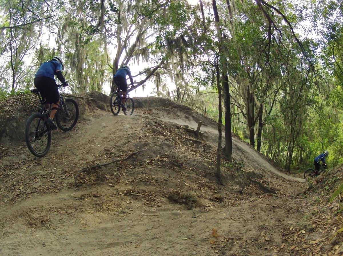 Two mountain bikers navigating a dirt trail surrounded by lush greenery and trees, one riding up a small hill while the other follows a winding path through the forest. The scene captures the dynamic movement and excitement of off-road cycling. Alafia River State Park mountain bike trail.