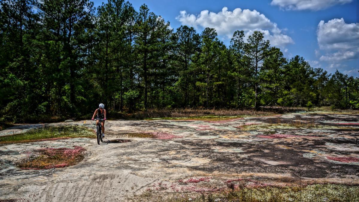 A person riding a mountain bike on a rocky terrain with patches of colorful lichen, surrounded by green pine trees and a bright blue sky with fluffy white clouds. Georgia International Horse Park mountain bike trail.