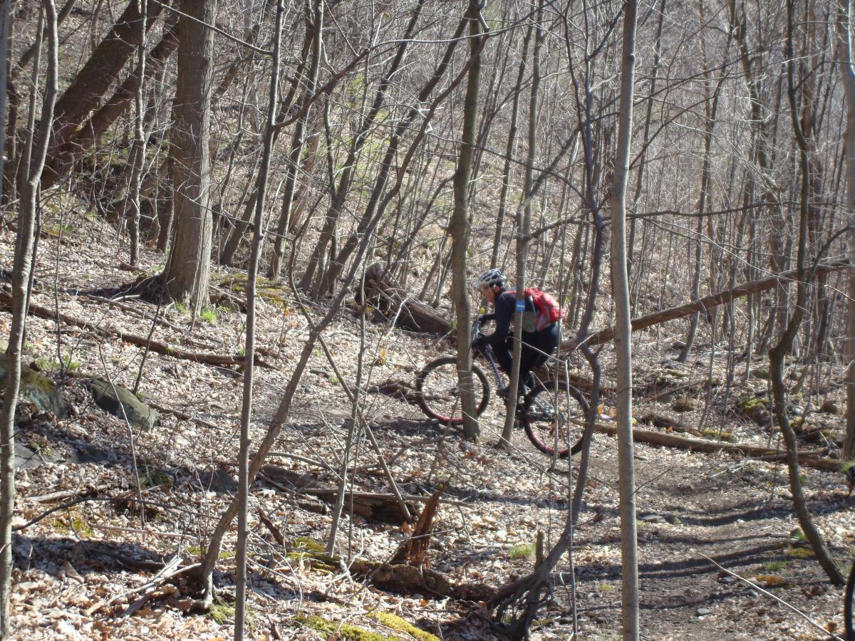 A mountain biker navigating a narrow, wooded trail surrounded by bare trees and fallen leaves, with patches of sunlight filtering through the branches. Roaring Run mountain bike trail.