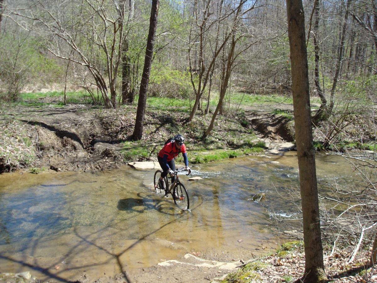 A cyclist in a red and black jersey navigates through a shallow stream while mountain biking on a wooded trail. Surrounding the cyclist are trees and green grass, indicating a spring or early summer setting. The water in the stream is clear, and the trail leads into a natural, serene landscape. Roaring Run mountain bike trail.