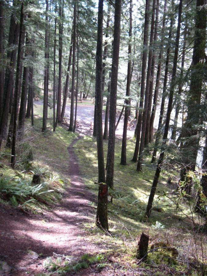 A narrow dirt path winding through a forest of tall evergreen trees, leading towards an open area with a gravel parking lot. The ground is covered with green moss and foliage, while beams of sunlight filter through the tree canopy. Middle Fork Trail mountain bike trail.