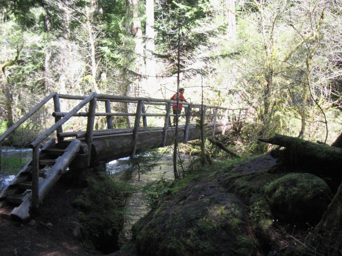 A wooden footbridge crossing a small stream in a lush forest, with a person in a red shirt standing on the bridge. Surrounding trees are covered in green moss, and the scene is illuminated by dappled sunlight filtering through the foliage. Mckenzie River Trail mountain bike trail.