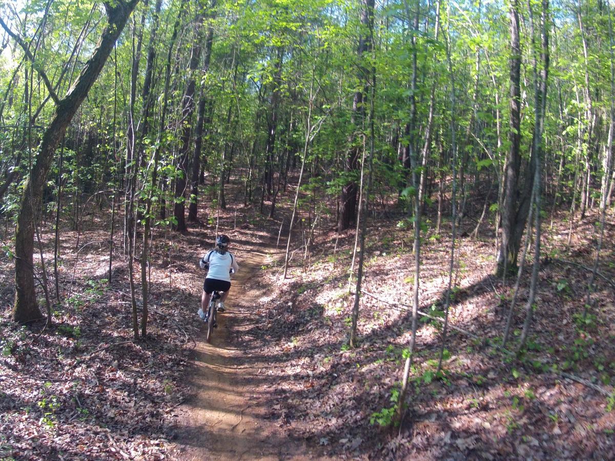  Allatoona Creek Park mountain bike trail.