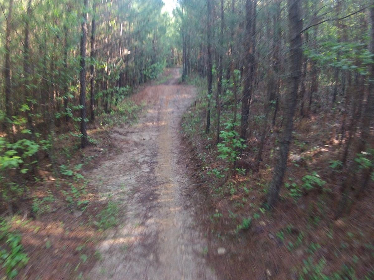  Allatoona Creek Park mountain bike trail.
