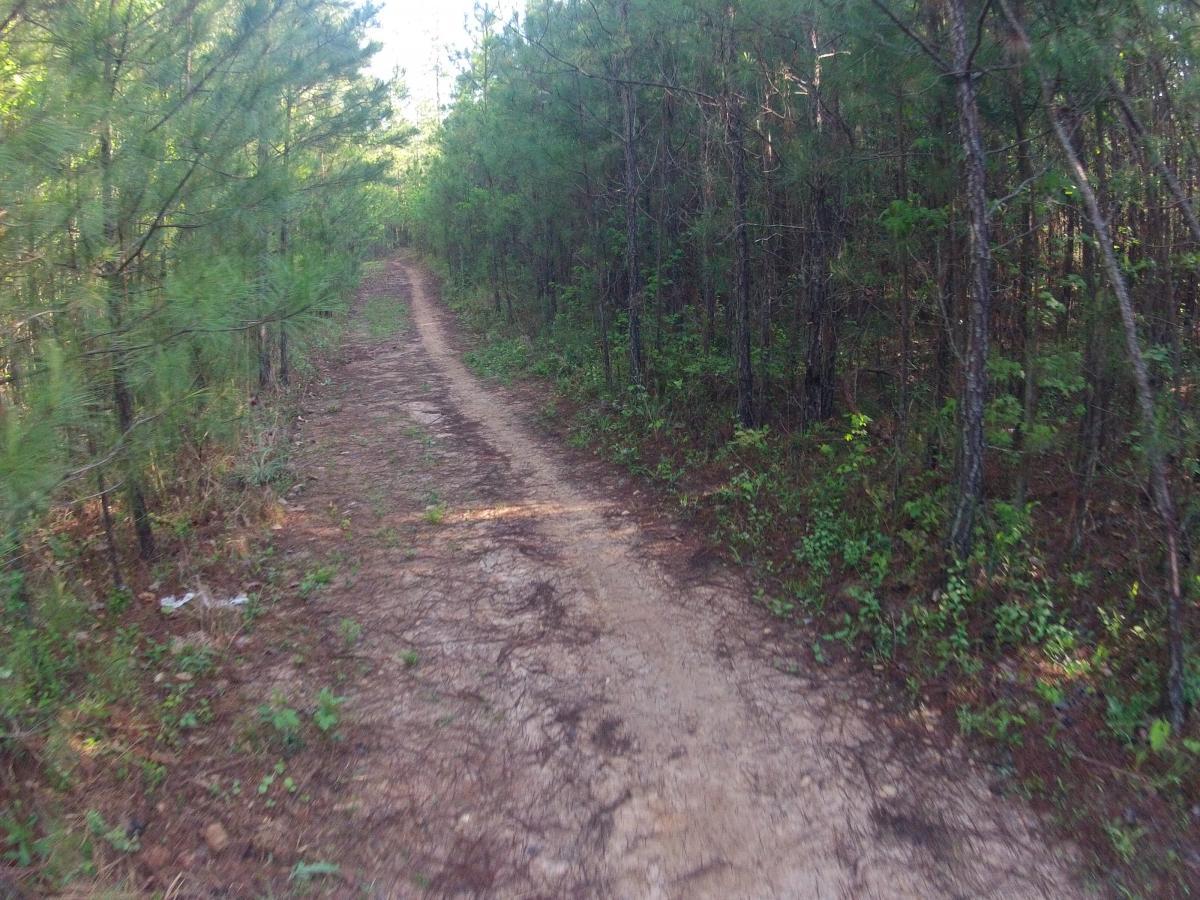  Allatoona Creek Park mountain bike trail.
