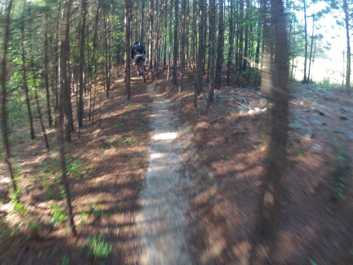  Allatoona Creek Park mountain bike trail.
