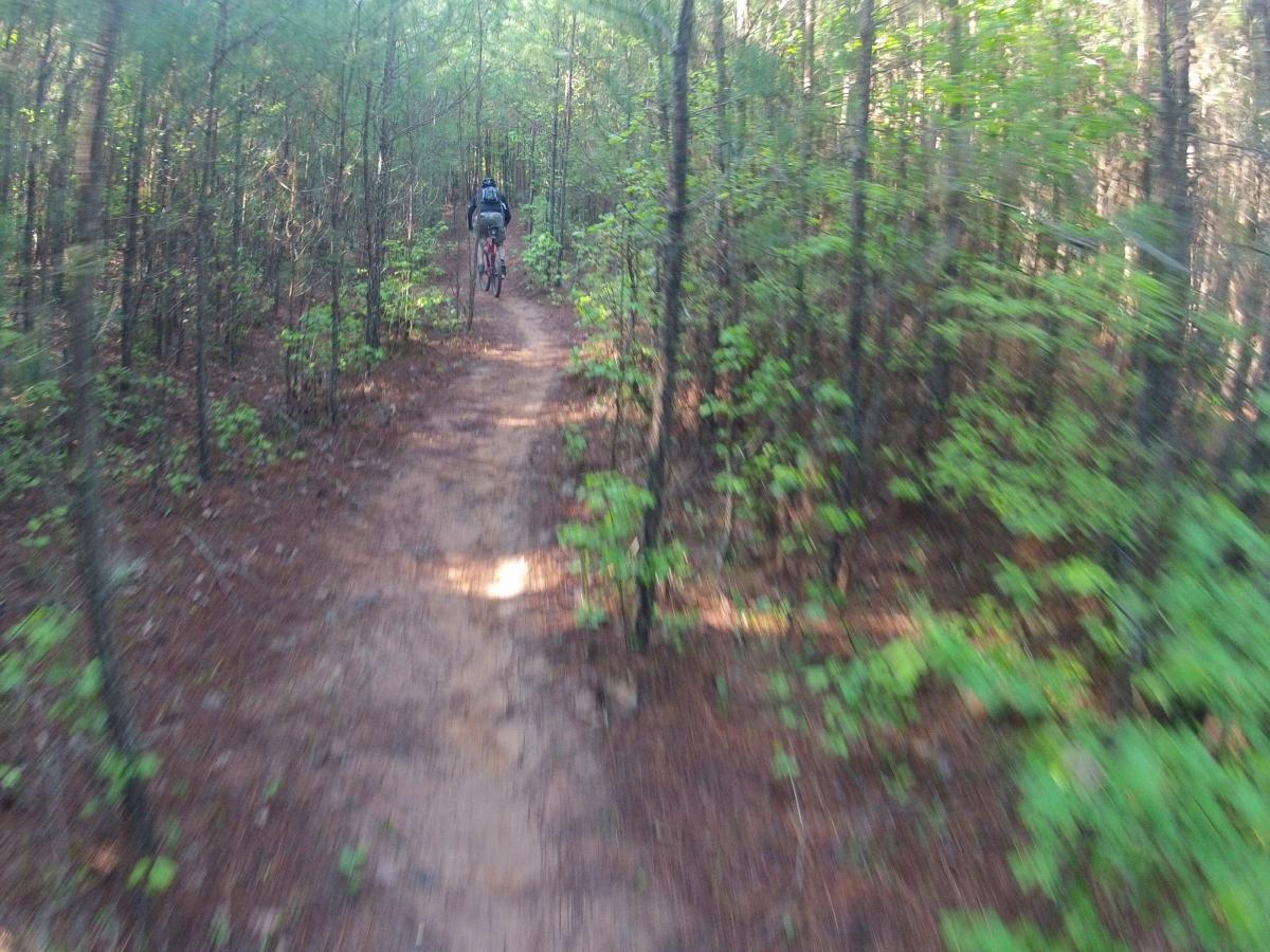  Allatoona Creek Park mountain bike trail.