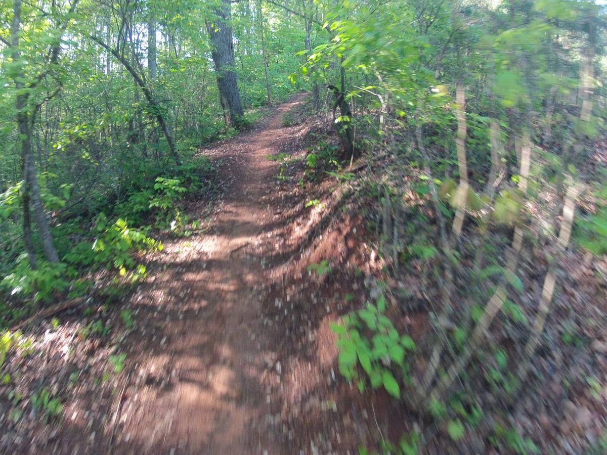 A winding dirt trail surrounded by lush greenery and trees, leading through a peaceful forest. Sunlight filters through the leaves, casting dappled shadows on the path. Allatoona Creek Park mountain bike trail.