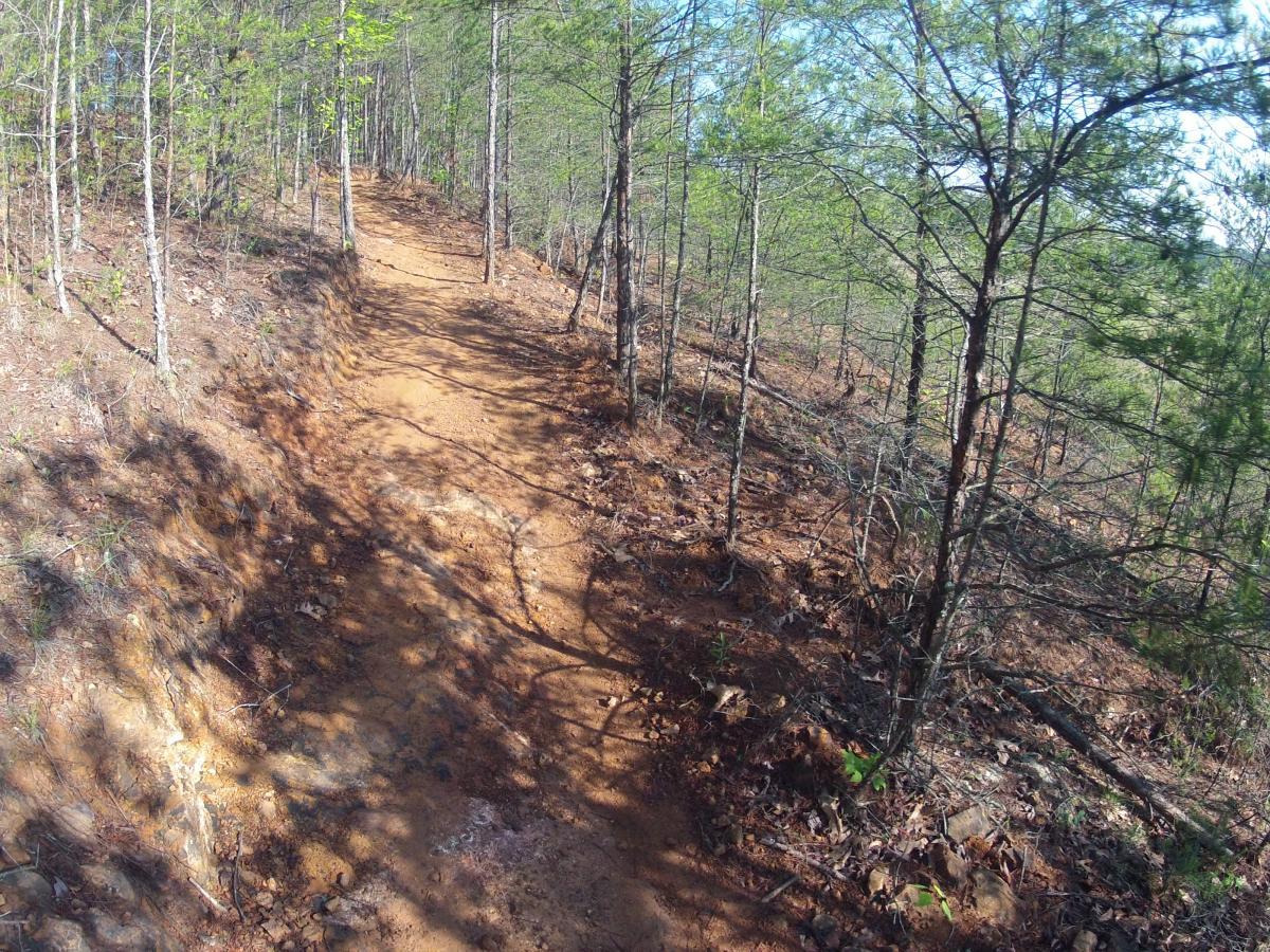 A winding dirt path through a densely wooded area, surrounded by tall, slender trees and scattered foliage. The sunlight filters through the branches, casting shadows on the ground, creating a natural and inviting hiking trail. Allatoona Creek Park mountain bike trail.