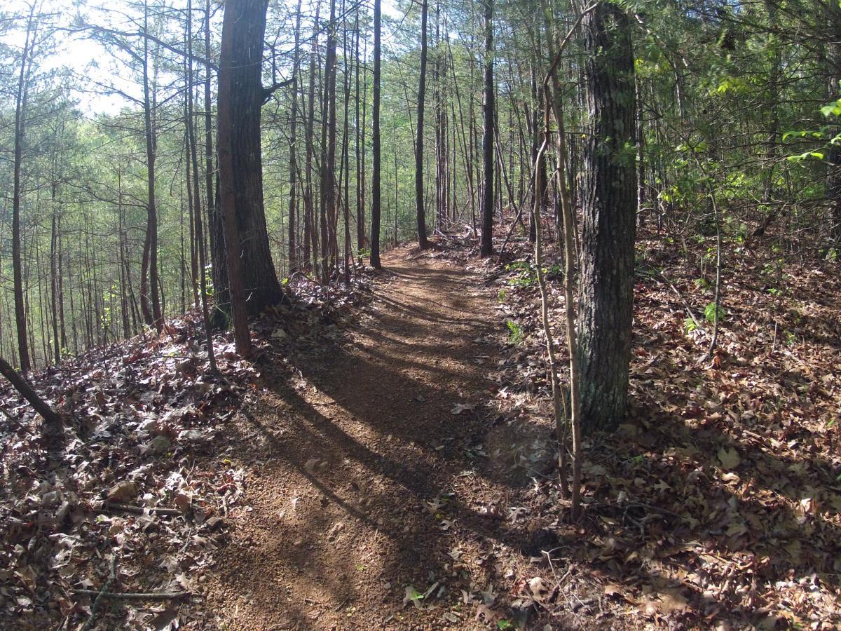 Allatoona Creek Park mountain bike trail.
