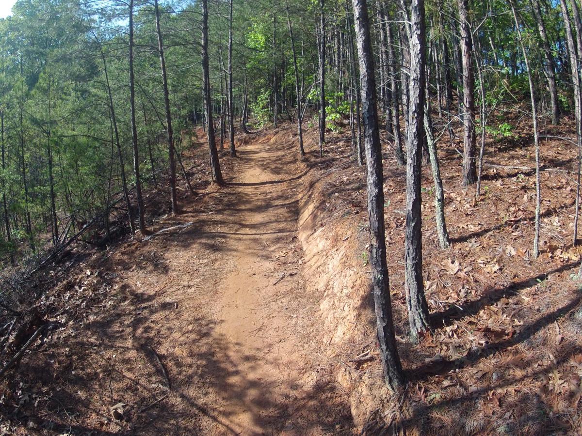  Allatoona Creek Park mountain bike trail.