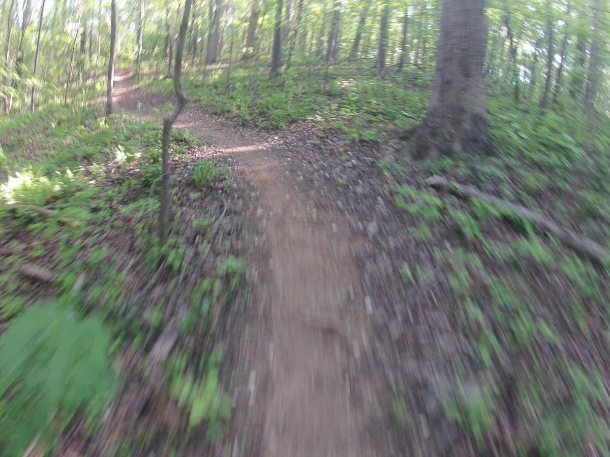  Allatoona Creek Park mountain bike trail.