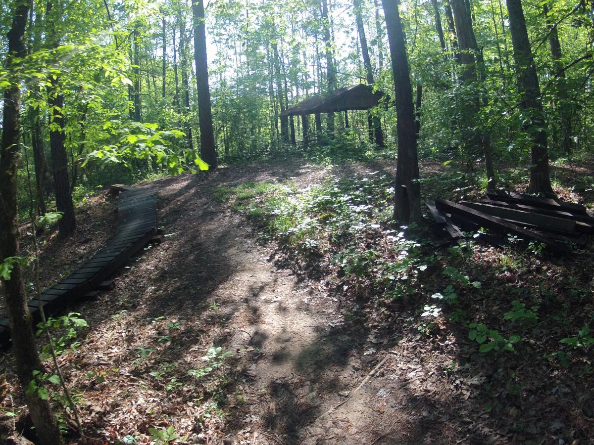  Allatoona Creek Park mountain bike trail.