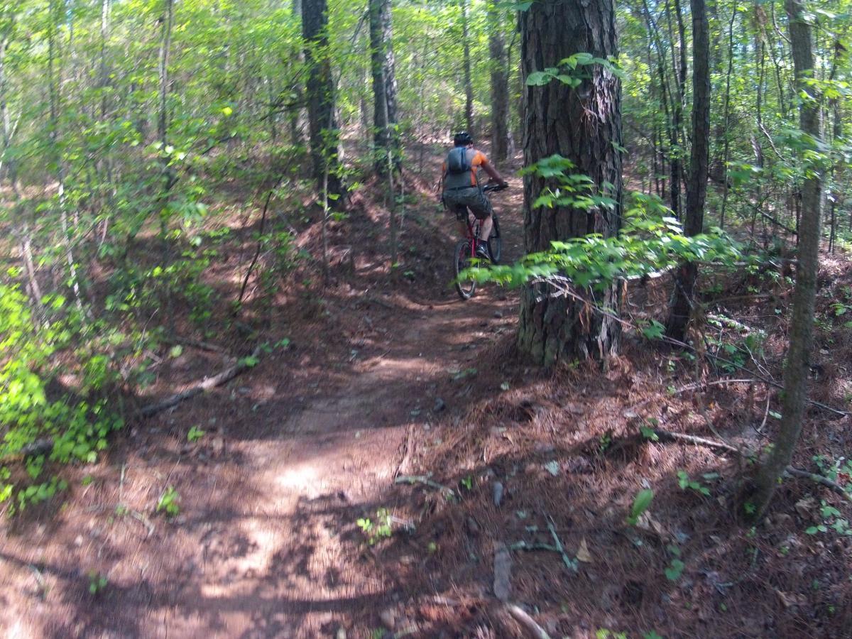  Allatoona Creek Park mountain bike trail.
