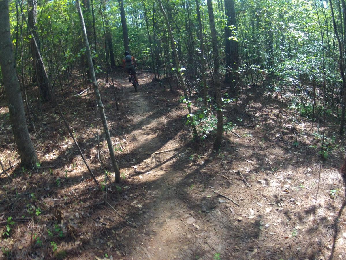  Allatoona Creek Park mountain bike trail.