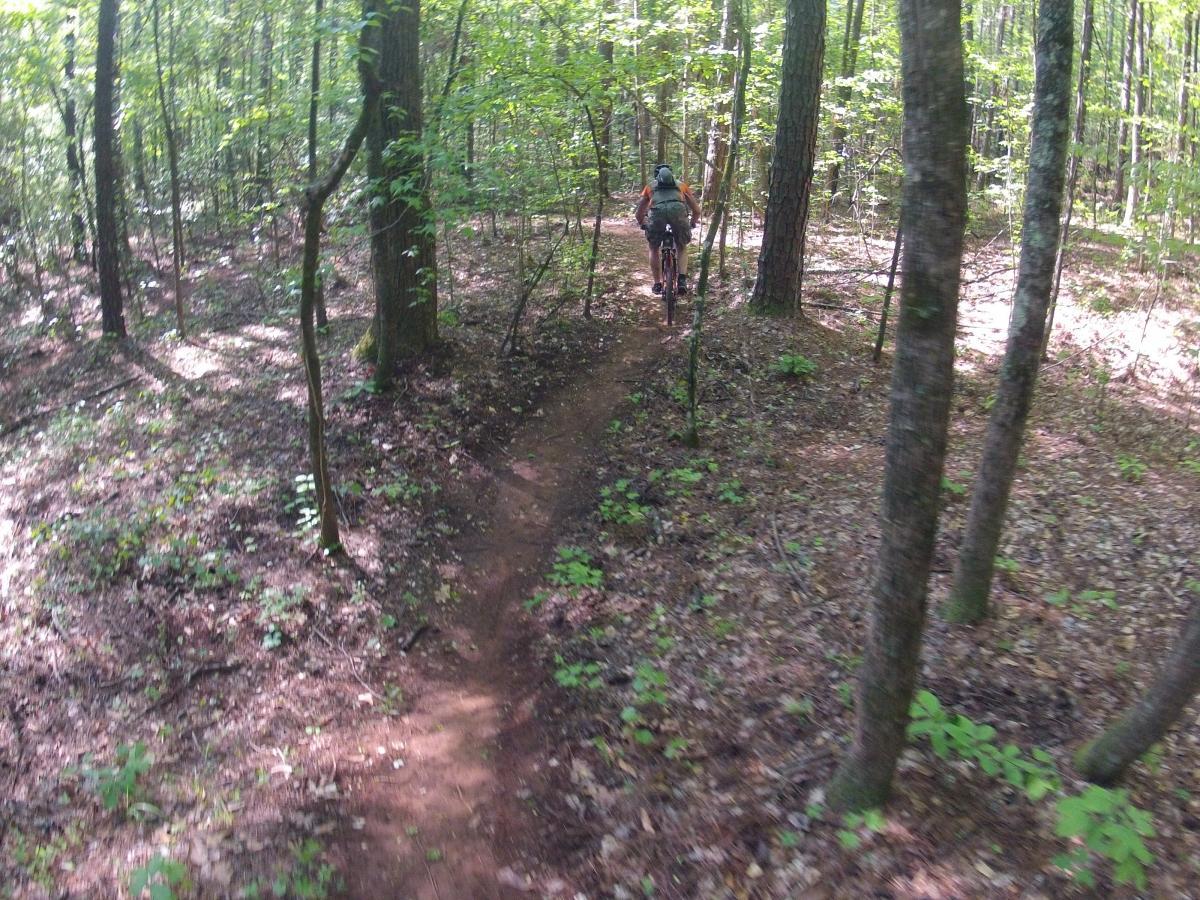  Allatoona Creek Park mountain bike trail.