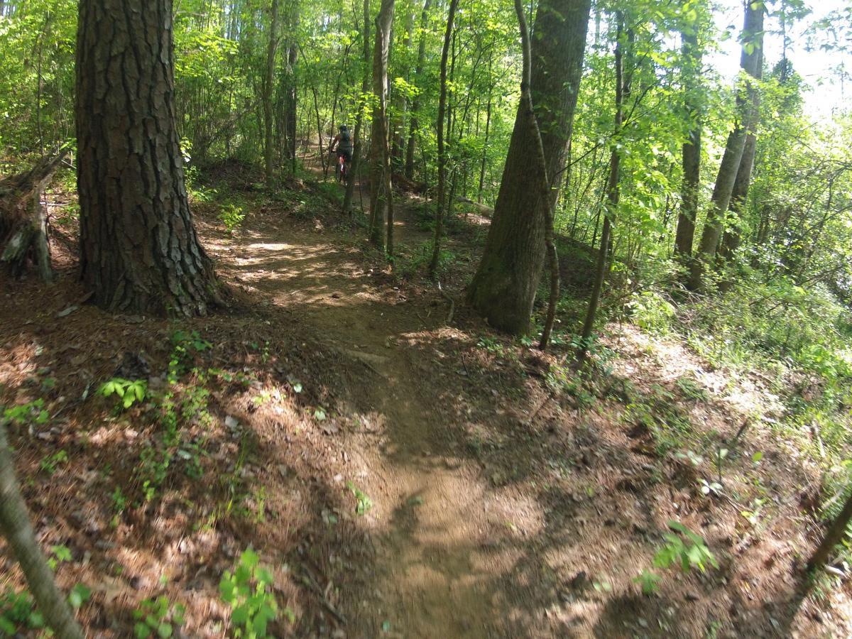  Allatoona Creek Park mountain bike trail.