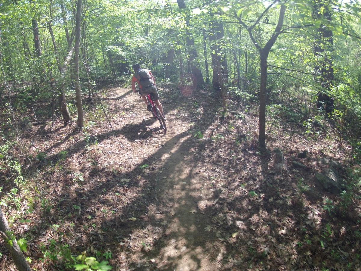  Allatoona Creek Park mountain bike trail.
