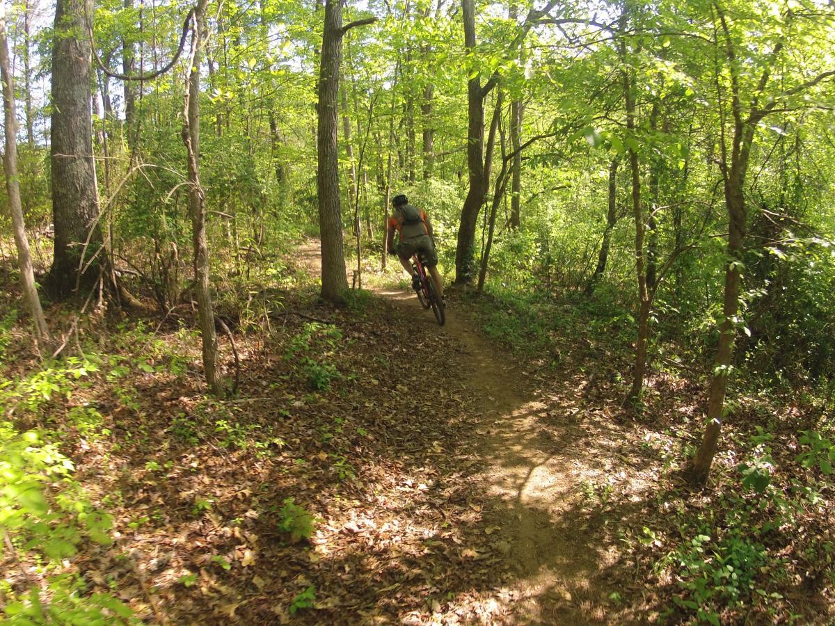  Allatoona Creek Park mountain bike trail.