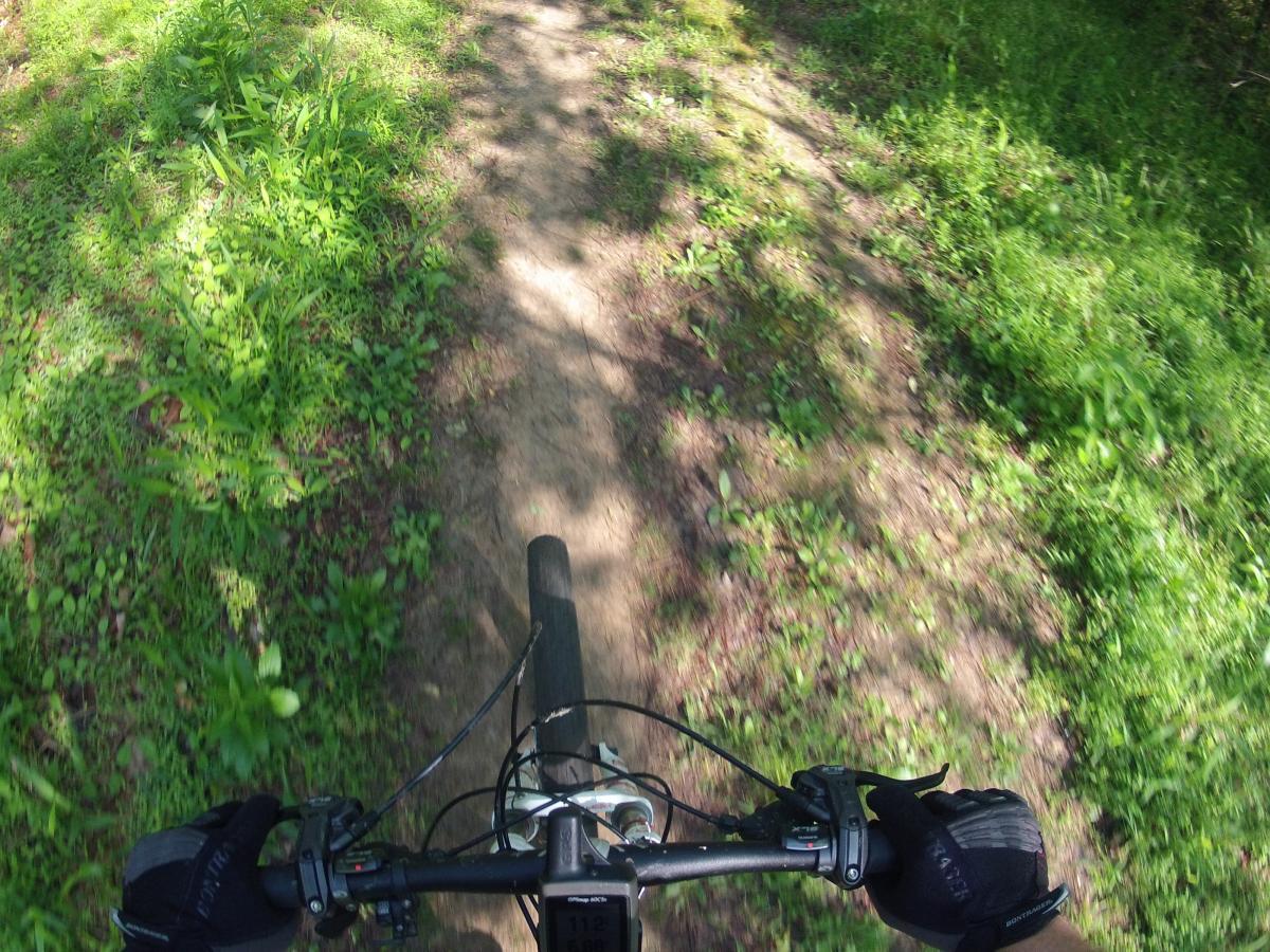 Alt tag: "A view from above handlebars of a mountain bike riding on a narrow dirt trail surrounded by green grass and foliage." Allatoona Creek Park mountain bike trail.