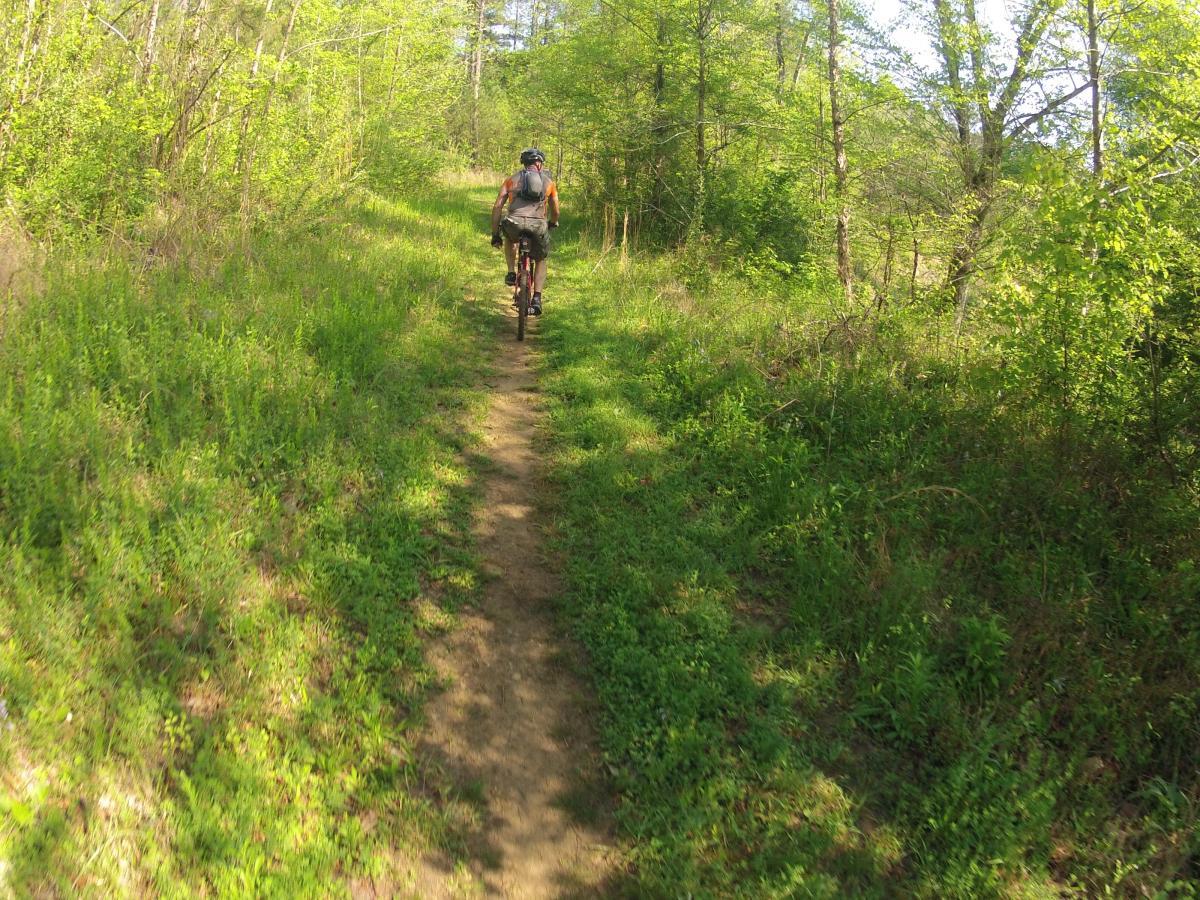  Allatoona Creek Park mountain bike trail.