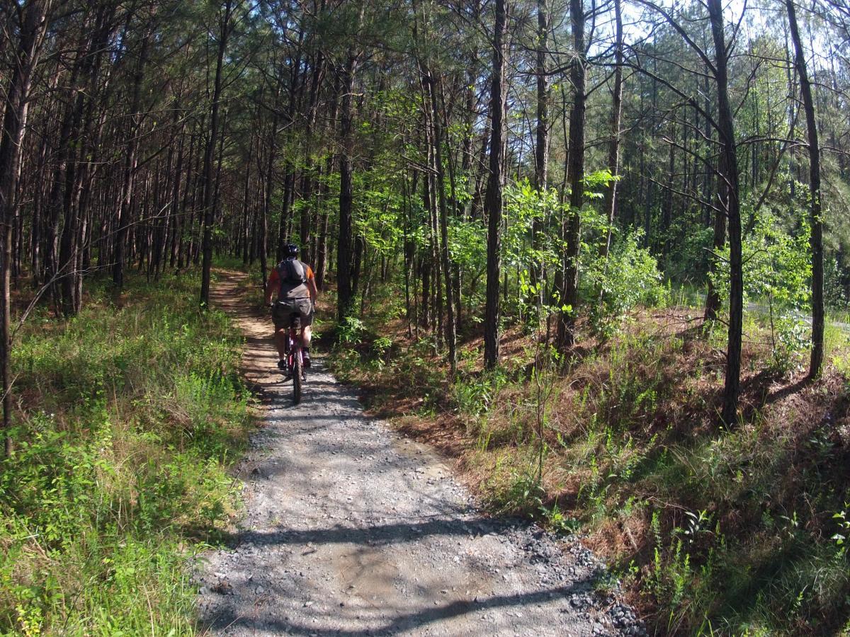 A person riding a mountain bike along a gravel path through a dense forest, surrounded by tall trees and lush greenery on either side. The sunlight filters through the branches, creating a peaceful outdoor scene. Allatoona Creek Park mountain bike trail.