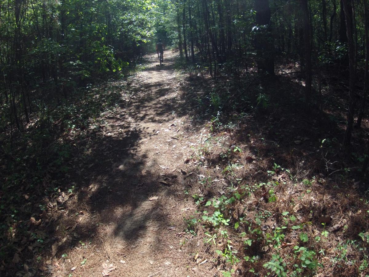  Allatoona Creek Park mountain bike trail.