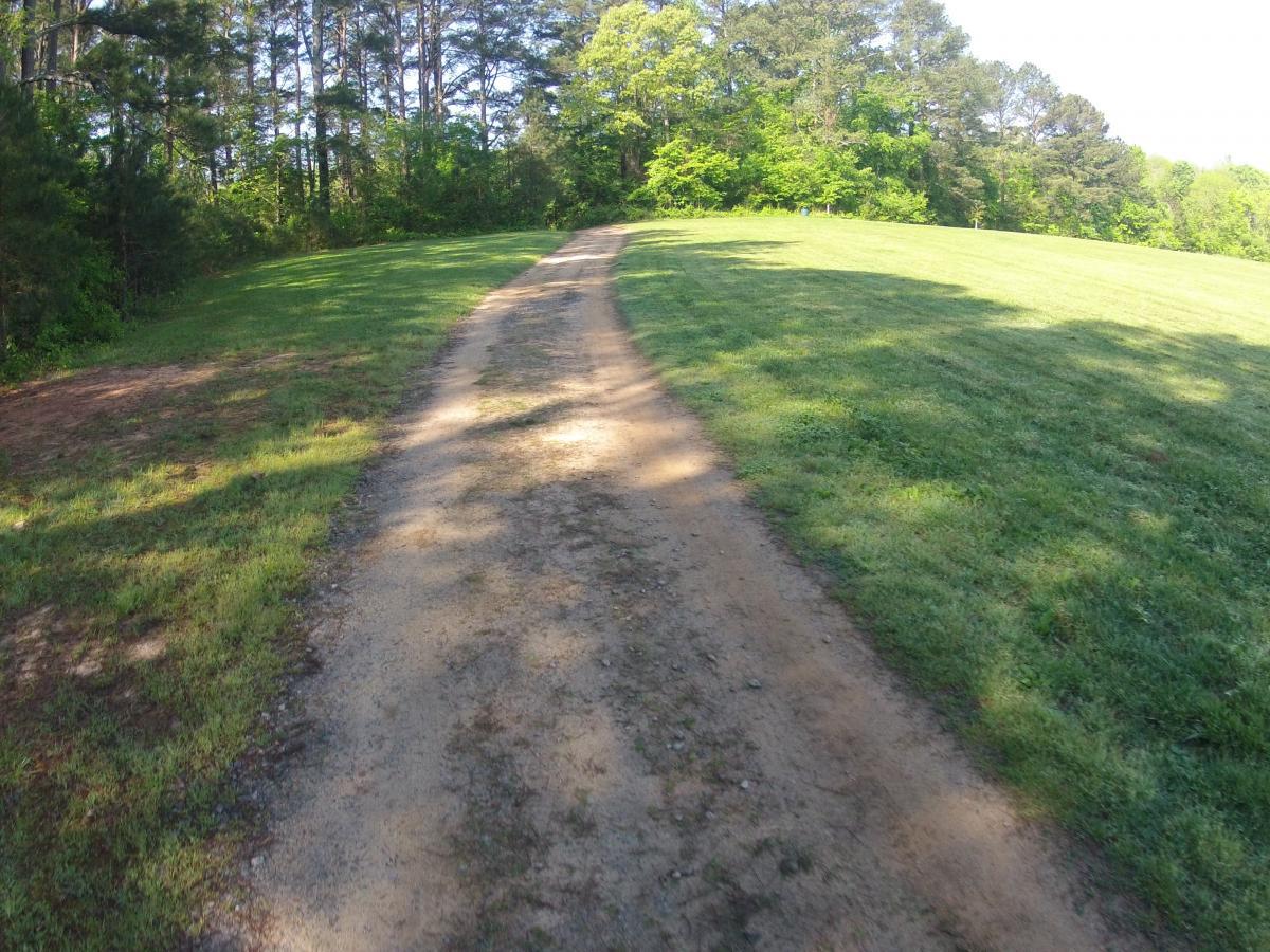 A winding dirt path surrounded by lush green grass and trees, leading into a sunny, open area. The path divides into two directions, inviting exploration in a serene natural setting. Allatoona Creek Park mountain bike trail.